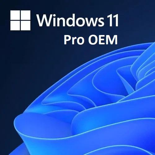 Windows 11 Pro OEM Key